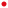 Volzet